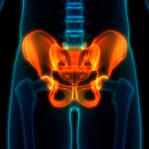 CGI of pelvis